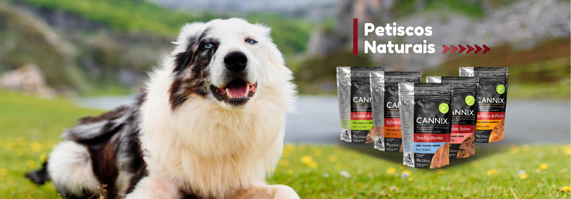 petisccos naturais pets du monde