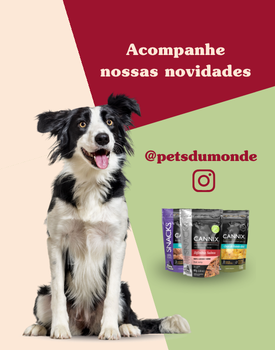 instagram pets du monde