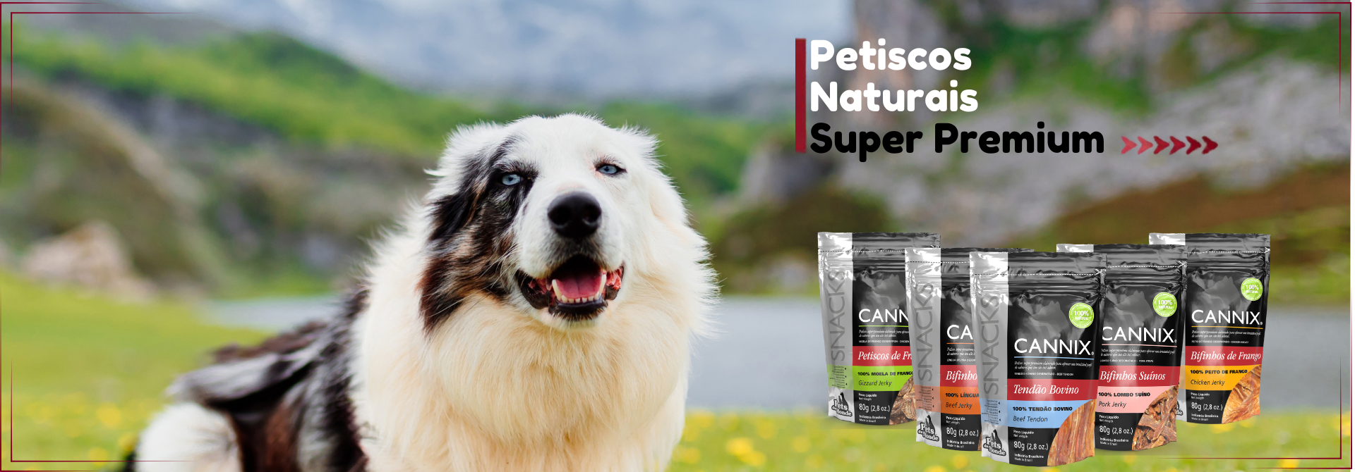 petisccos naturais pets du monde