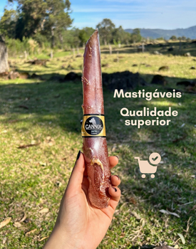 mordedores naturais cannix