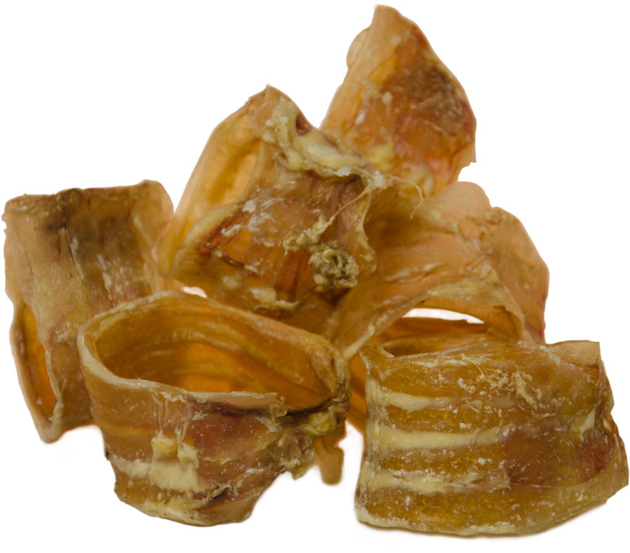 Cannix Traqueia Bovina  80 g