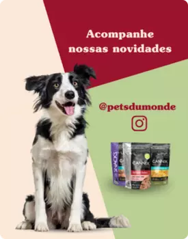 instagram pets du monde