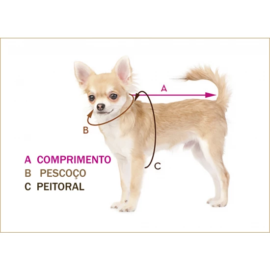 cão-modelo