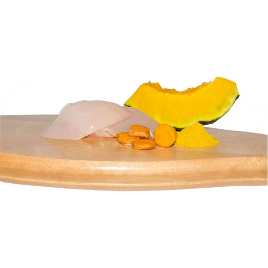 cannix gourmet abóbora, frango e curcuma