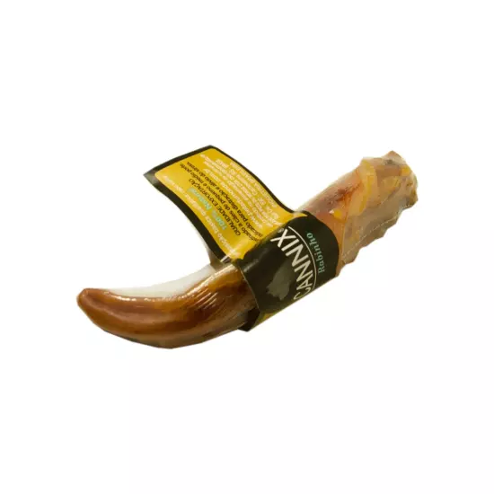Rabo suíno desidratado Cannix 40 g para cães