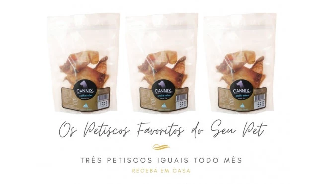 plano diversão - clube de assinatura pet in box