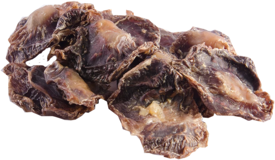 Cannix Gizzard Jerkey 80 g