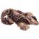 moela pets du monde