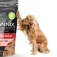 petisco para cachorro bifinhos suinos cannix 